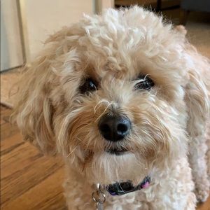 Meet your Posher, Beth